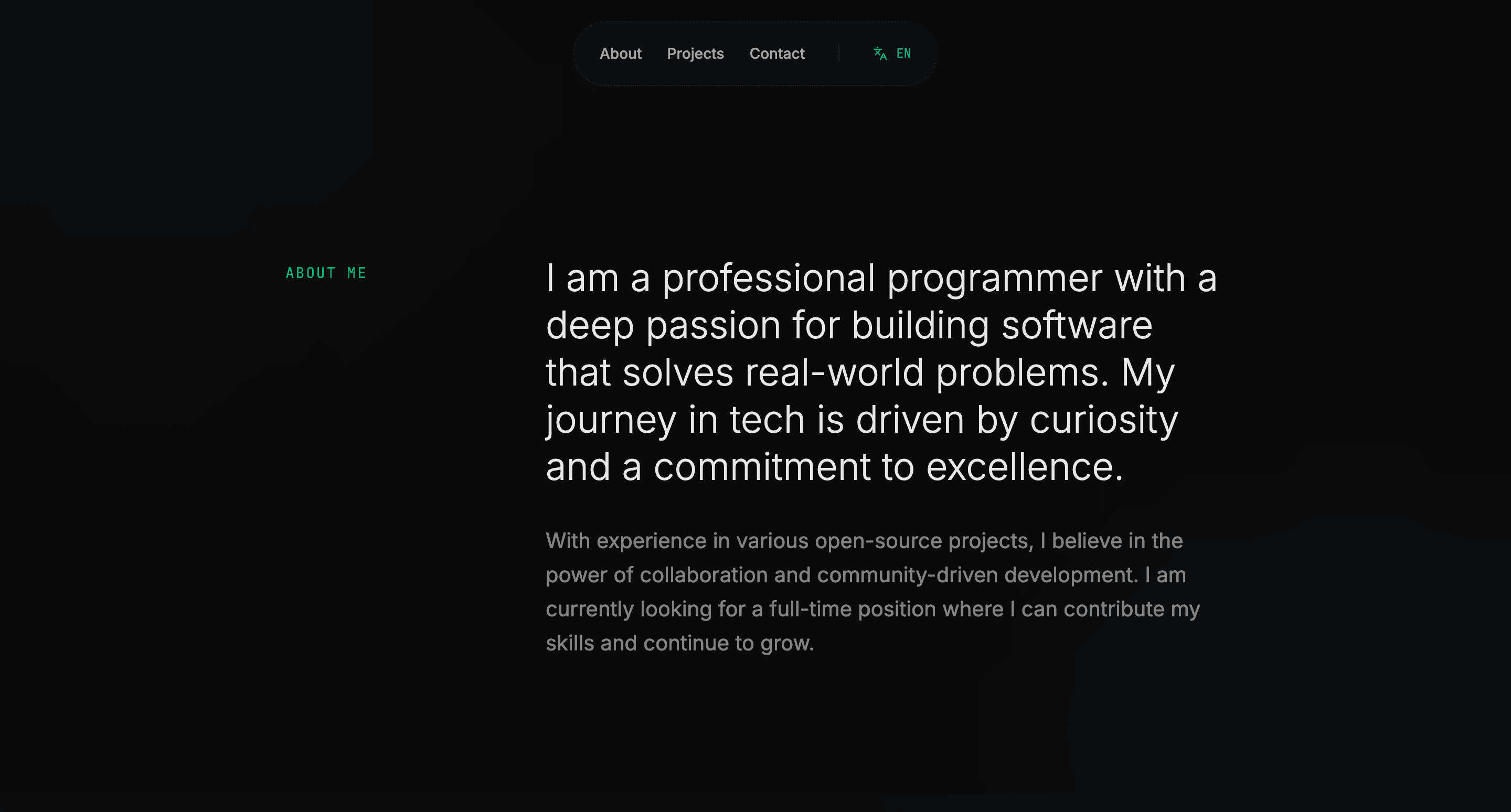 Aris Setiawan detail view